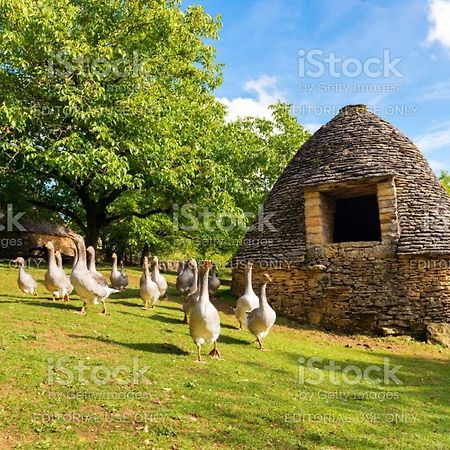 Studio Fontaine D'Amour Сарла-ла-Канеда Экстерьер фото