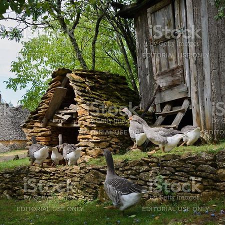 Studio Fontaine D'Amour Сарла-ла-Канеда Экстерьер фото